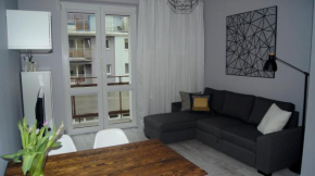 Отель Apartament Abrahama 40  Гдыня